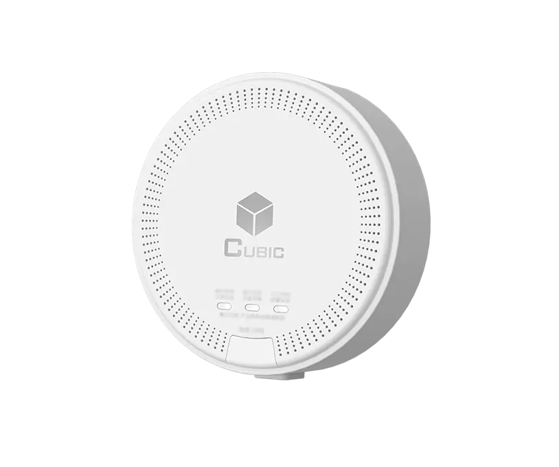 Détecteur de gaz naturel CH4 AM5301